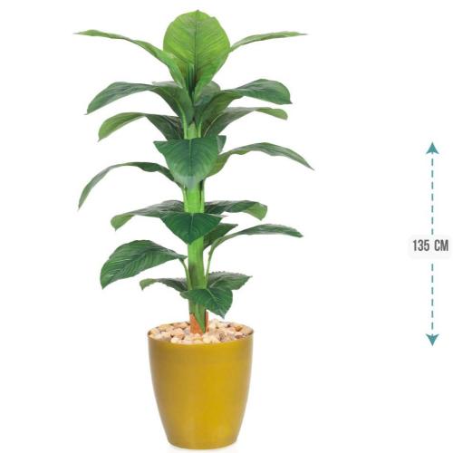 شجرموز وسط حوض بلاستيك