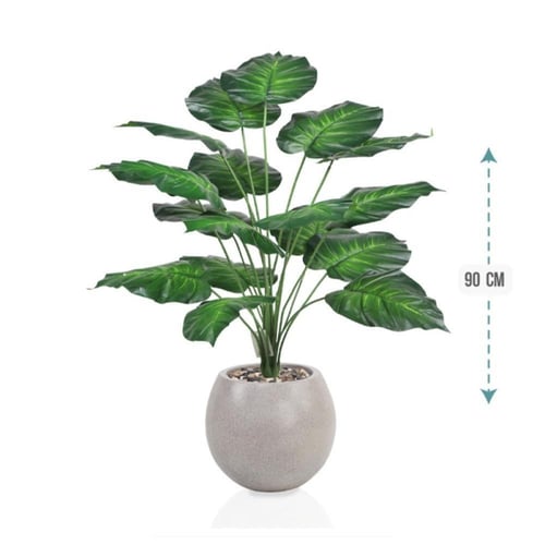 شتلة ورق قلب اخضر حوض فيبر 90 سم : 78915-516