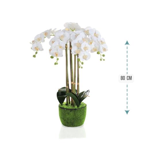 شجر ورد اوركيد 80 سم : 494