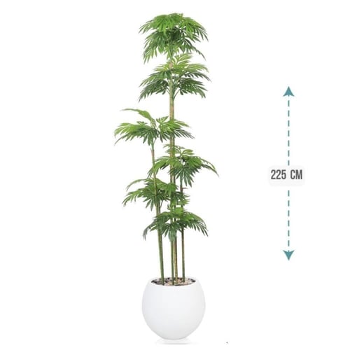 شجر نخل 6 فرع حوض فيبر 225سم : 575-514