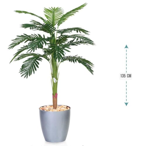 شجرنخل وسط حوض بلاستيك