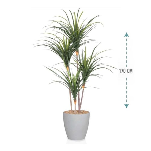 شجر صبار 4 فرع ارتفاع 170سم: 1053-2040R