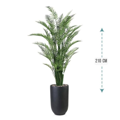 شجر نخل اريكا حوض فيبر 210 سم : 2720-533