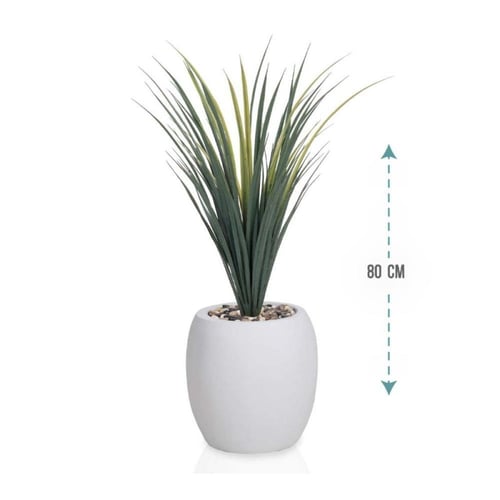 شجر صبار حوض فيبر بيضاوي ارتفاع 80 سم : 8110-542