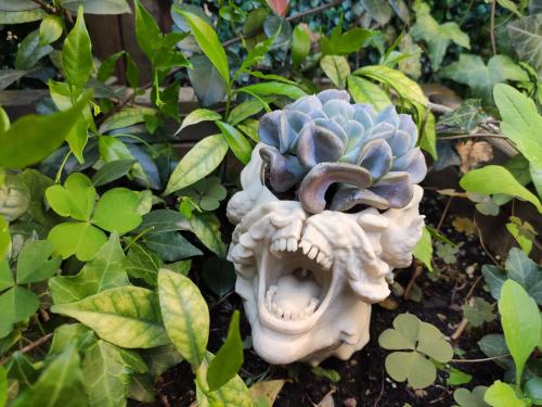 مركن كليكر - Clicker Planter