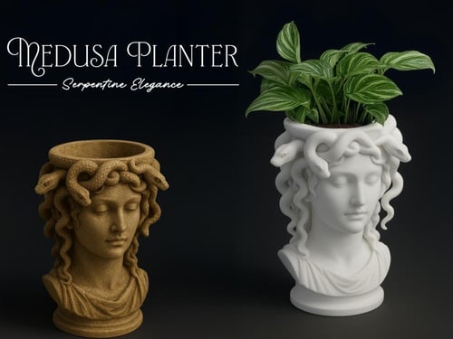 MEDOZA - ميدوزا