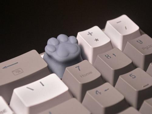 MIAU