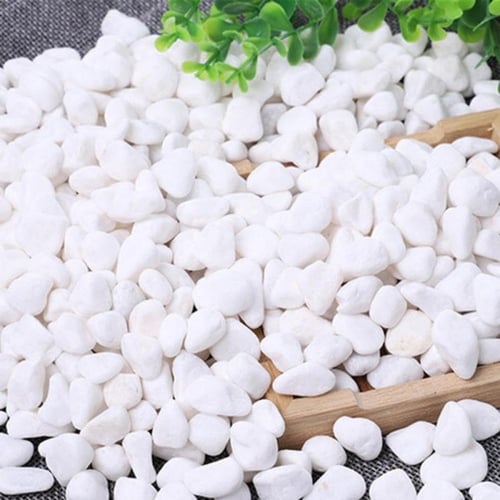 حصى ناعم لون أبيض غير مصقول ناشف للنباتات والمزهري...