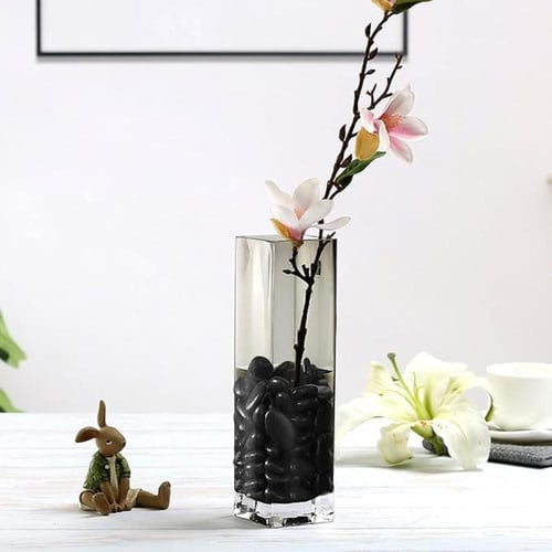 حصى زينة سوداء ناعمة مصقول لامع لحوض السمك والنبات...