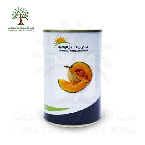 بذور شمام – نوع: أناناس (Muskmelon – Ananas)