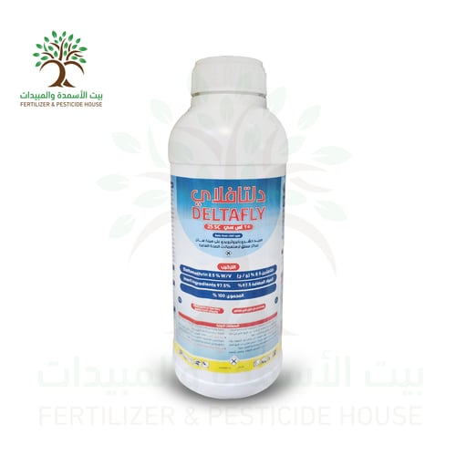 دلتافلاي 25 إس سي