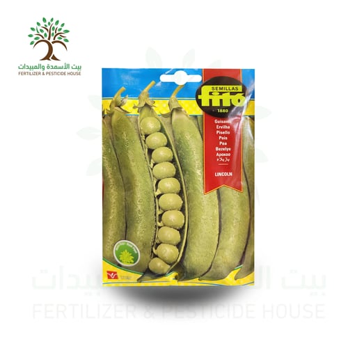 بذور بازلاء