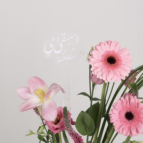 هدية الأم 9