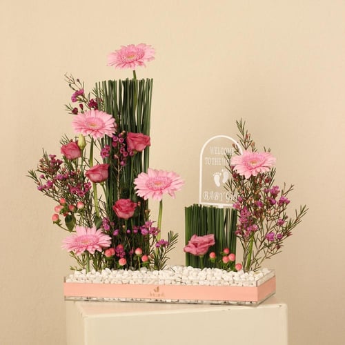 اهداء مولوده 5