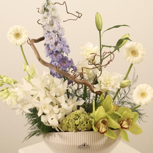 عزف الألوان