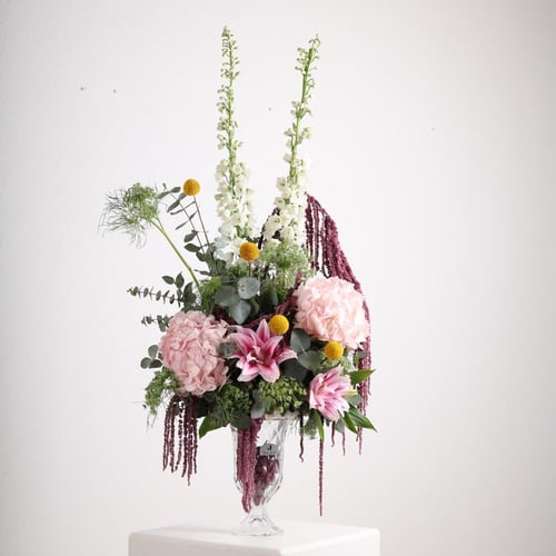 فخامة النرجس