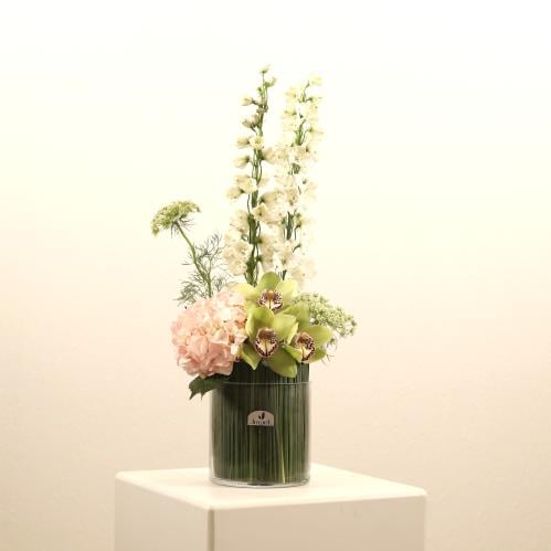 أنشودة النقاء