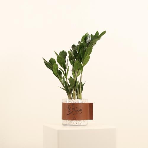 فازة بالاسم مع نبتة طبيعية