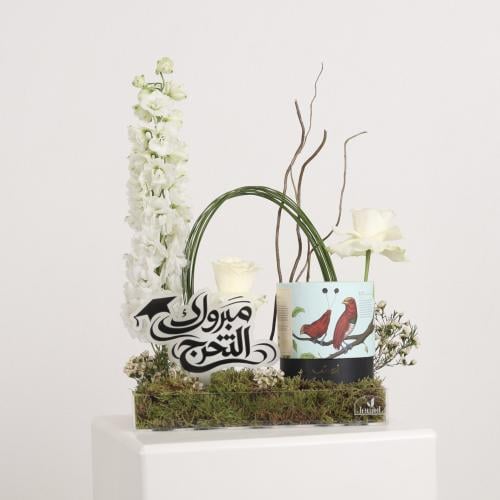 بداية مجد