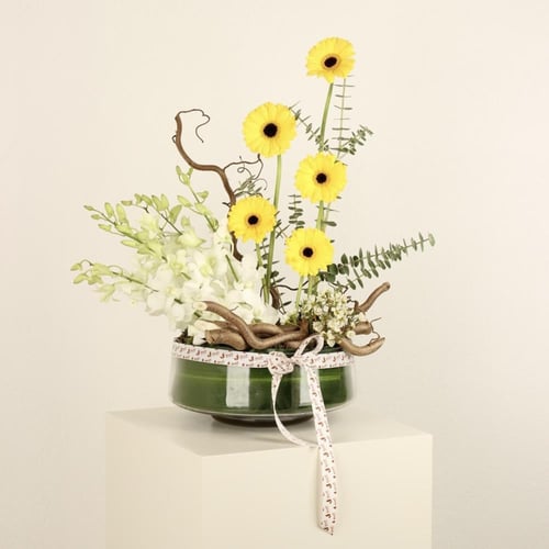 سفينة الأمل