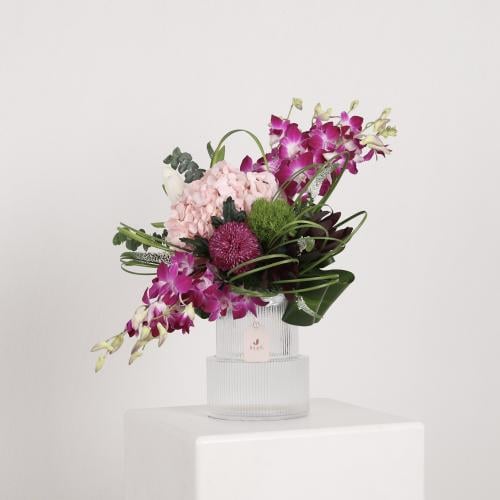 نغم الأوركيد