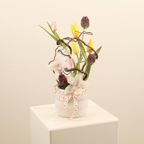 بريق الزهرة