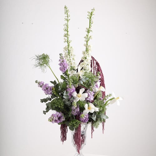 مجد الحدائق