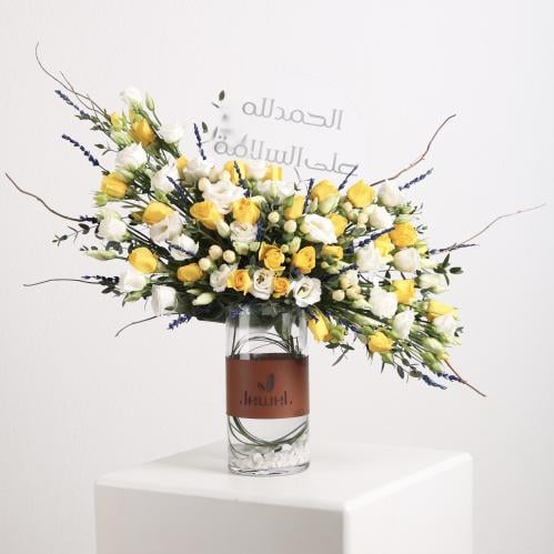 شمس السلامة