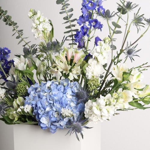 مهابة الزهر