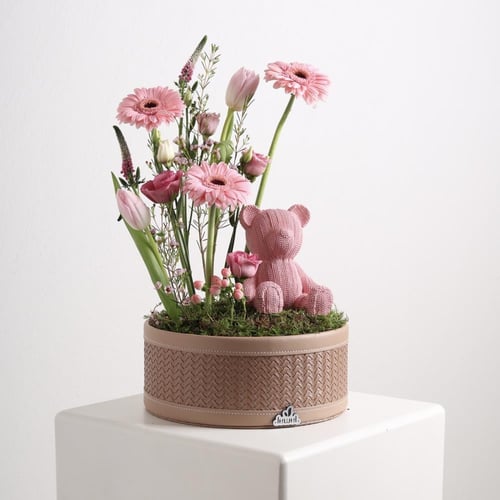 زهرة المولودة