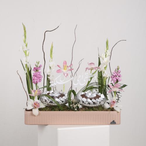 هدية الأم 11