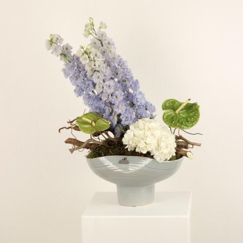 هدوء البنفسج