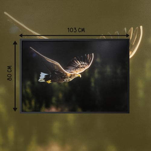 لوحة جدارية لطيور بلمسة طبيعية هادئة| لوحة صقر للب...