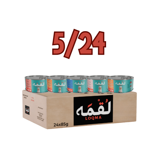 كرتون معلبات لقمه 85g جميع النكهات