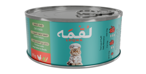 لقمه دجاج مع الخضار بالمرق