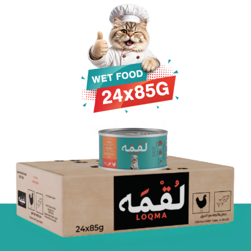 لقمه دجاج بالتونة مع المرق