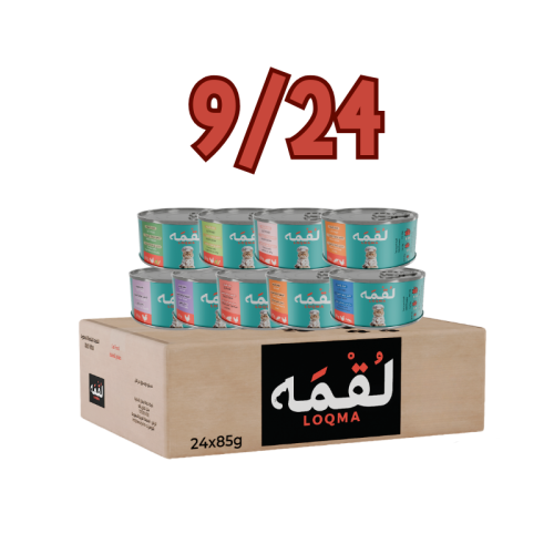 كرتون معلبات لقمه 85g جميع النكهات