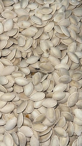 حب كوسه