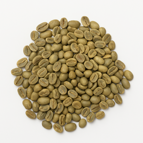 بن أخضر 1 كيلو -كوستريكا دوتا سان خوسيه