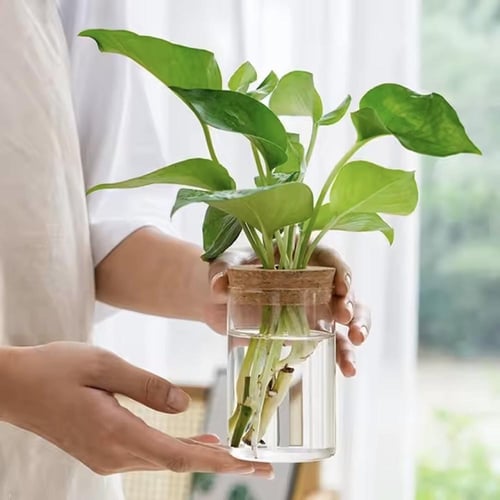 بلورة زجاجية