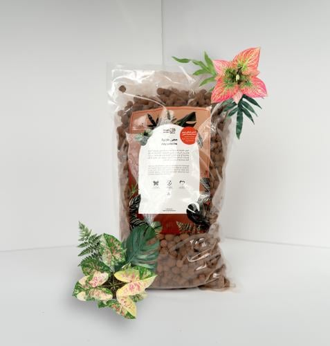 حجر ليكا الطيني