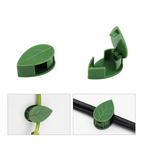 مشبك لنباتات المتسلقة