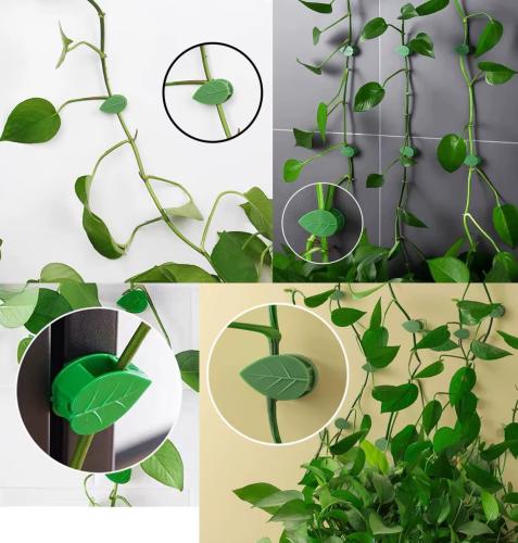 مشبك لنباتات المتسلقة