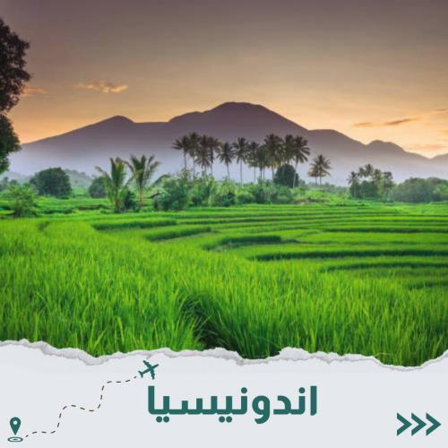 اندونيسيا 7 أيام