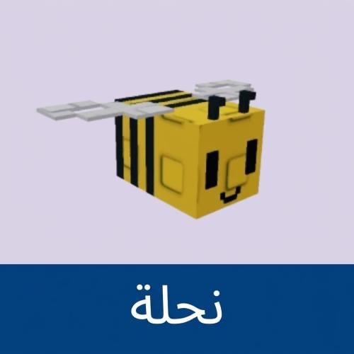 نحله | ماب المزرعة (2)