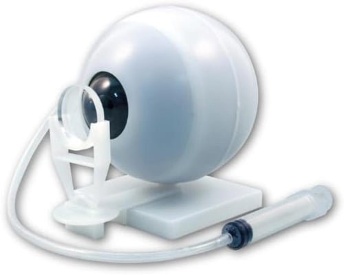 نموذج تجربة علمية للأطفال - لتنمية مهارات التعلم