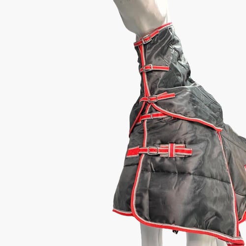 جلال مع رقبة STATUS بوليستر (شتوي)