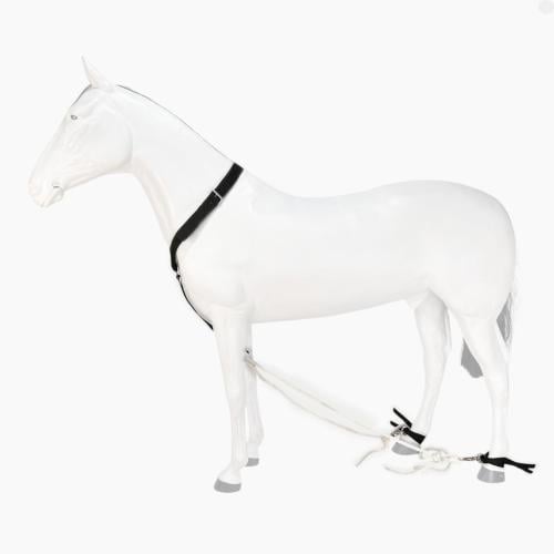 قيد تشبيه ( هجار )