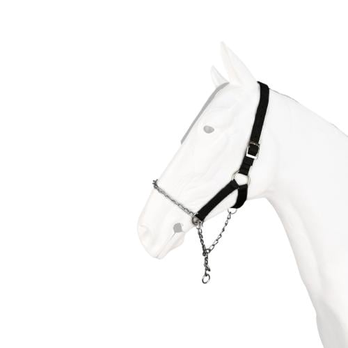 راسية سلسلة F