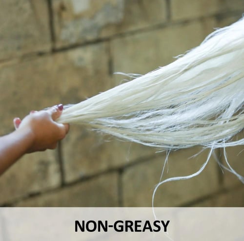 بلسم الترا للشعر (ذيل ورقبة الخيل) 946مل